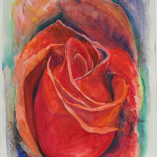 Orange Rose 30" by 22"